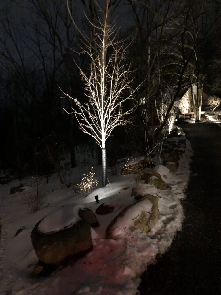 Allentown Landscape ligting6